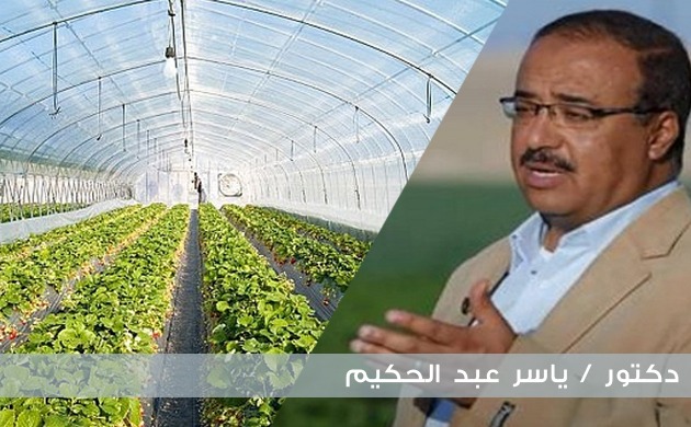   عبد الحكيم : مصر تحتل المرتبة الثانية عالميا فى الزراعات المحمية 